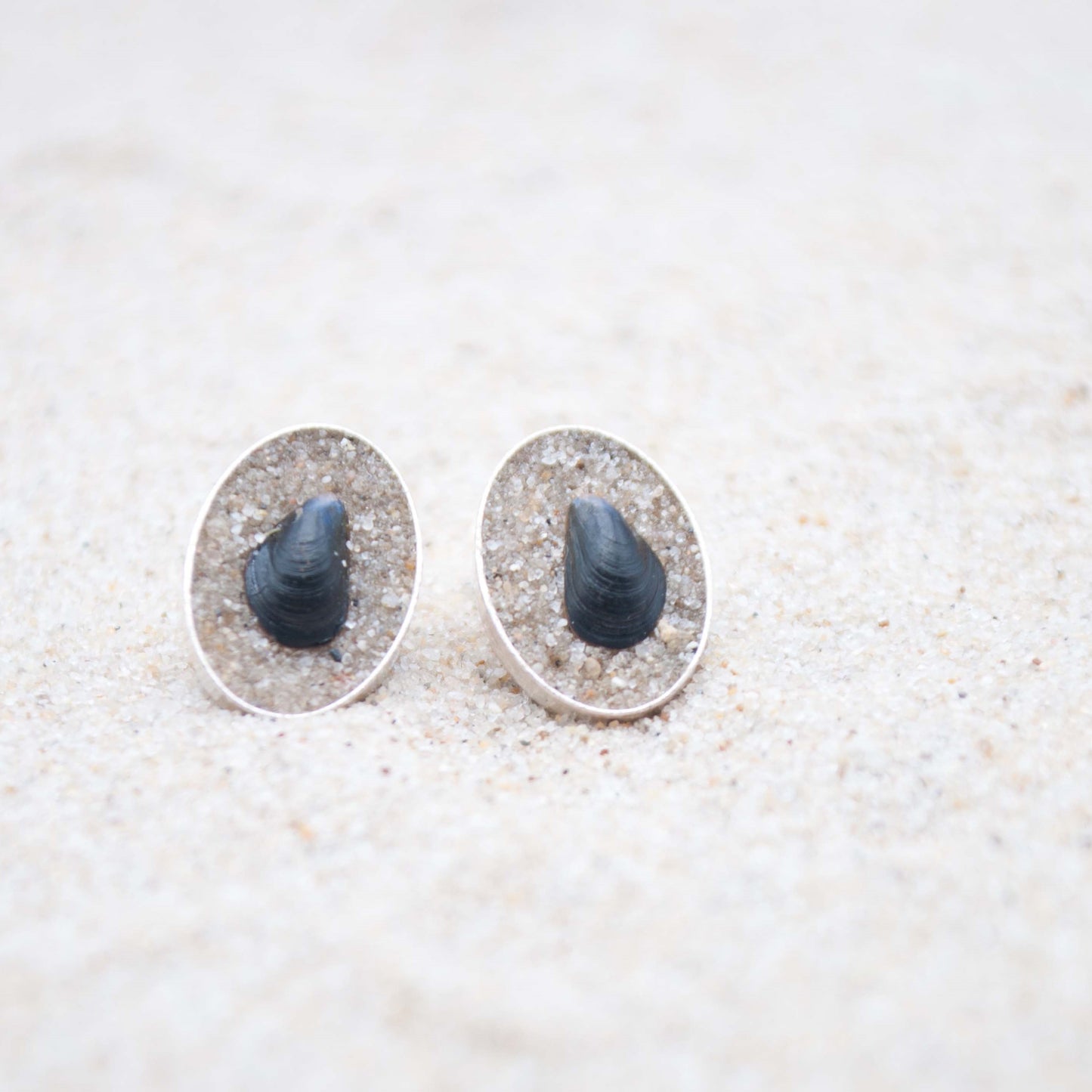 Ohrstecker Miesmuscheln am Strand