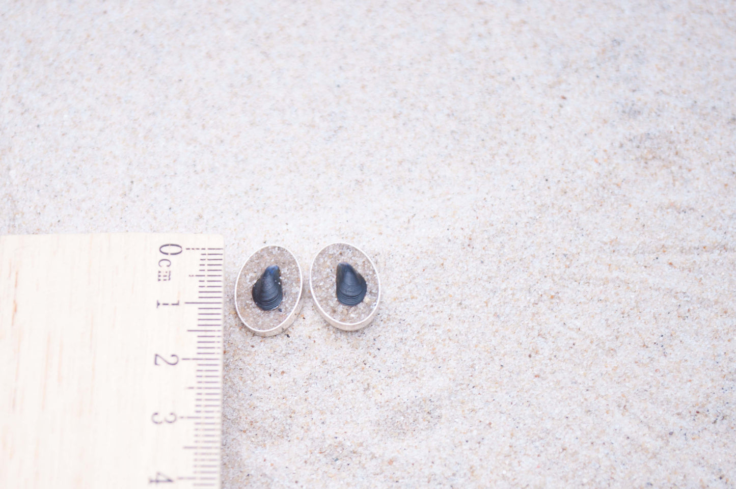 Ohrstecker Miesmuscheln am Strand