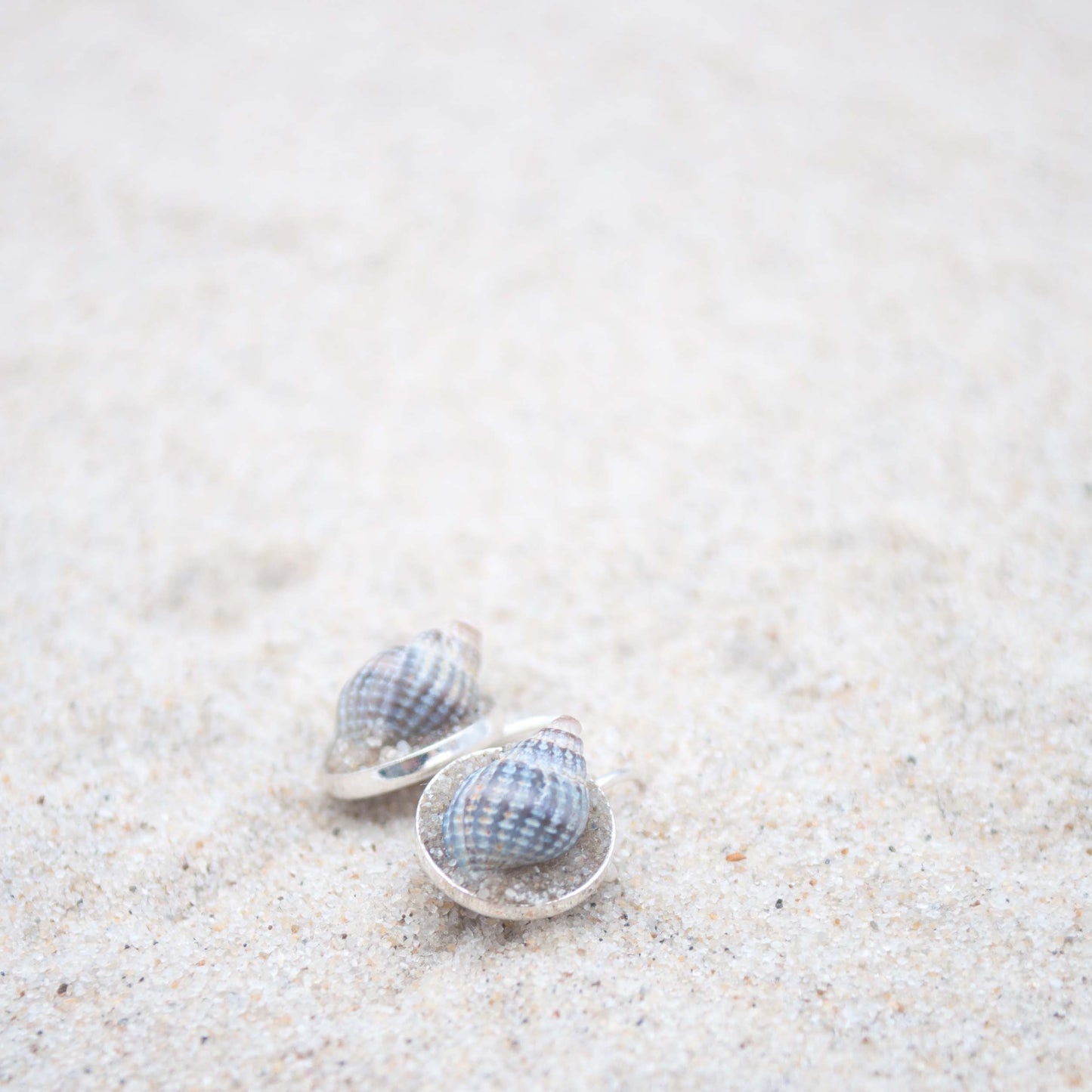 Ohrhänger Strandschnecken